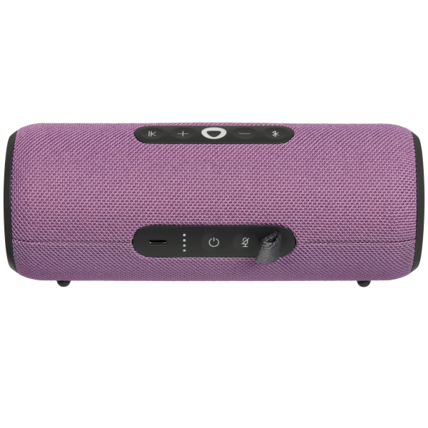 Купить Яндекс Станция Стрит фиолетовый YNDX-00030VIO-05.png